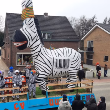 Zebra 1