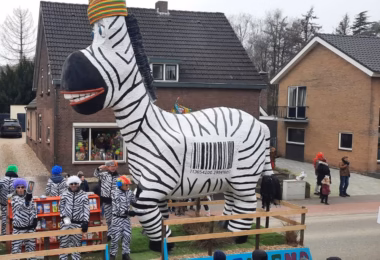 Zebra 1